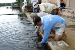 anglerscup-2009-6